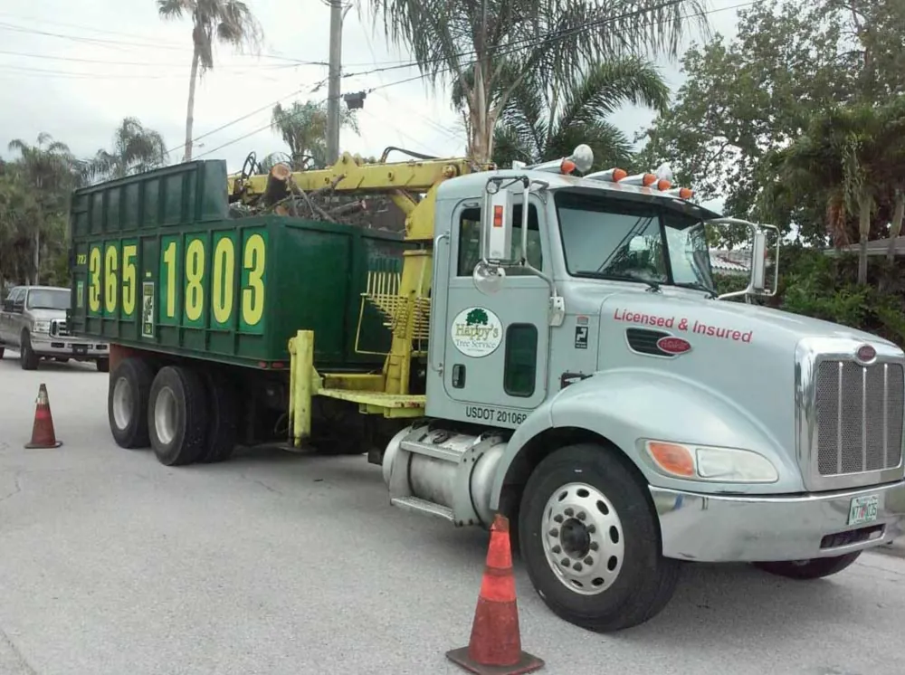 A grapple truck parked in a residential street, silver cab and green dump body with the phone number painted across it in yellow, USDOT number and Licensed and Insured lettering on the door, traffic cones set out front and back.