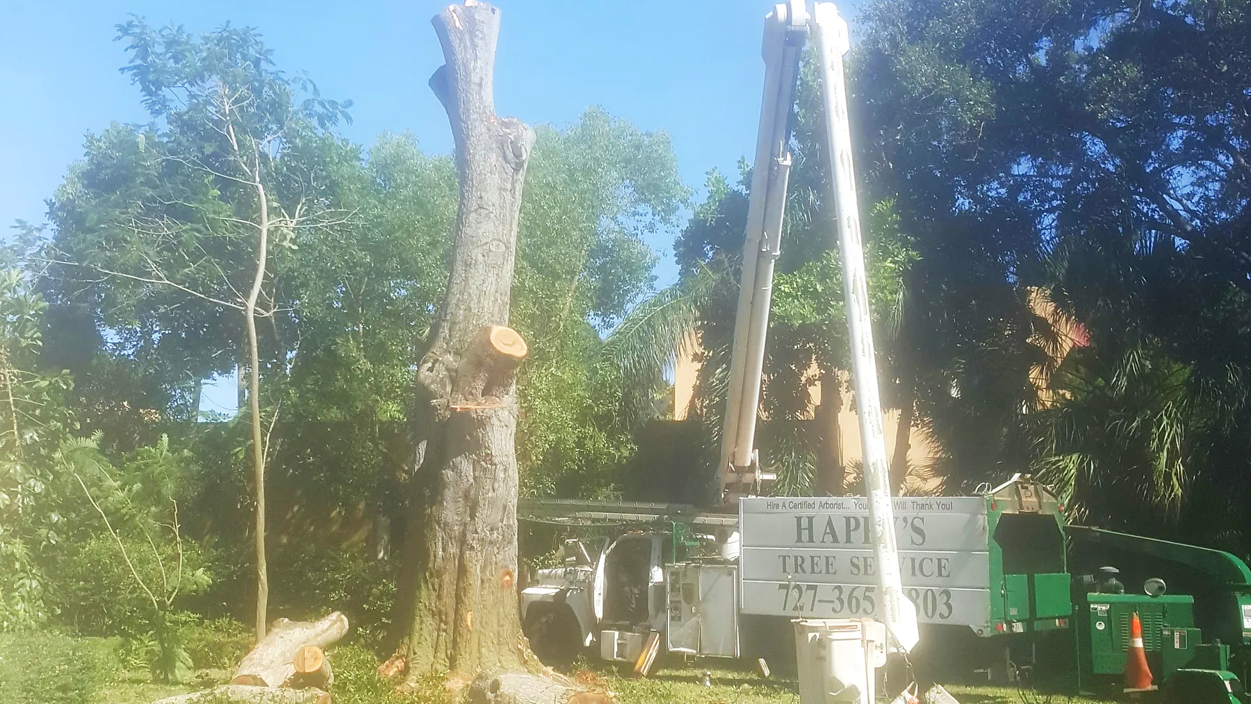 A boom truck with the Happy&rsquo;s Tree Service name and phone number on the panel, boom raised beside a sectioned oak trunk, a chipper working alongside and cut rounds on the grass.