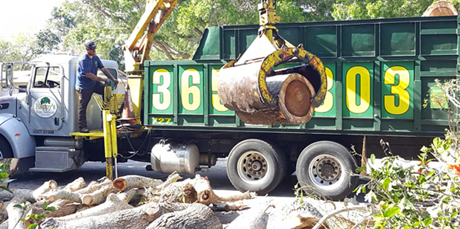 A grapple truck loading cut oak logs, the phone number painted large across the green body.