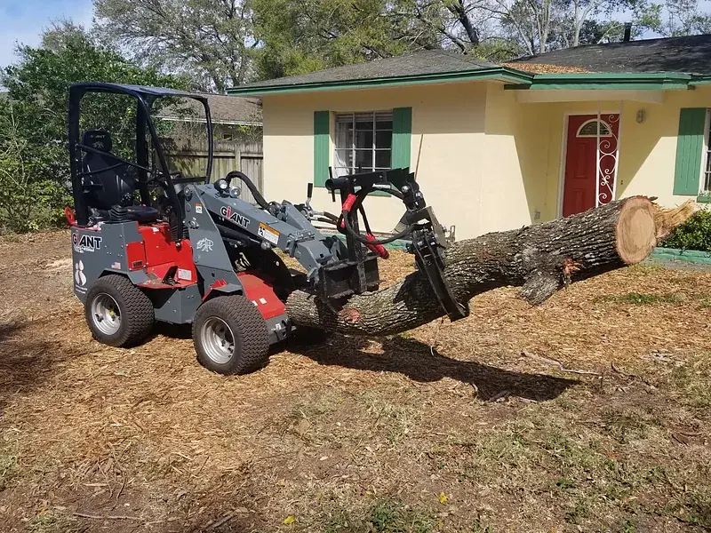A compact articulated loader carrying a sectioned trunk across a cleared dirt lot.