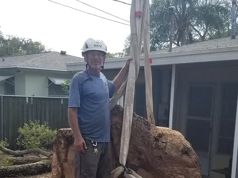 Craig, a Happy's Tree Service crew member in a white climbing helmet, standing behind a strapped oak trunk round taller than his waist.