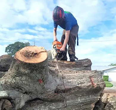 A Happy's crew member cutting a felled oak trunk into sections in a front yard.