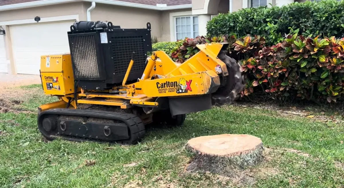 A tracked stump grinder parked on a lawn beside a freshly ground stump.