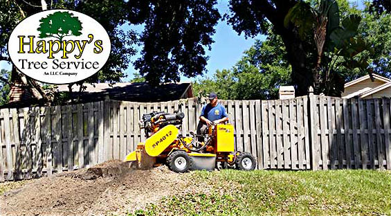 Stump Grinding Company In Tampa FL